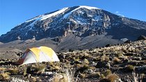 8 Days Mount Kilimanjaro Northern Circuit