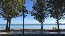 Lake Balaton and Herend Porcalain (Full-Day Private Tour)
