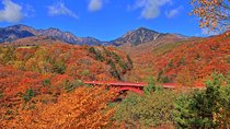 Yamanashi Autumn Leaves: Higashizawa Bridge and Yatsugatake Train