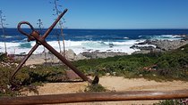 Poetry and Wines: Isla Negra and Undurraga vineyard