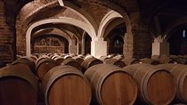 Santa rita