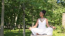 Amazing GWISHO WELLNESS, SAFARI AND ADVENTURE Holiday Retreat for 7 days