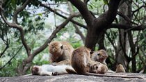 Enchanting Sri Lanka (18 Days)