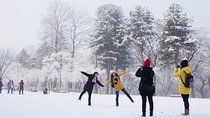 Winter Nami Island Tour: Strawberry Farm and Garden of Morning Calm Winter Light Display