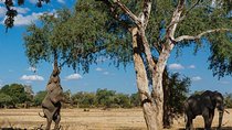 16 Days Kenya Tanzania Uganda Safari
