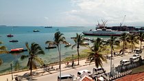 Dar es Salaam City Walking tour - Explore the Life of the Local People!