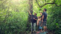 Sloth Sanctuary and Rafting class II & III Combo Tour