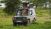 5 Days Mikumi, Ruaha And Udzungwa From Dar Es Salaam