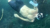 Snorkeling Los Angeles
