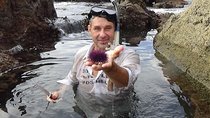 Snorkeling Los Angeles