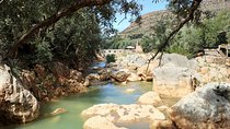 Beekeeping and Mountain Tour in Imouzzer