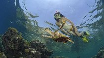 Dahab Safari & Snorkeling at Blue Hole