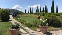 Small group (7) Chianti-side wine tour with Mercedes V class Van