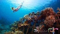 Have fun 1 day in Nusa Penida: snorkeling, kelingking & broken beach incl lunch