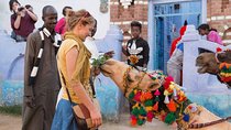 Aswan Nubian Village