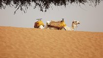 Massa 4x4 & small dunes with lunch day trip from Agadir