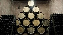 Food Tour: Parmigiano, Balsamic, Red Wine, lunch,transport