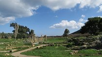 Temple of Artemis-Brauron Half Day Private Tour 4 seat 