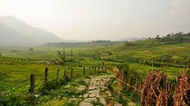 1 day hike to Phulchwoki Hill (Kathmandu Valley)
