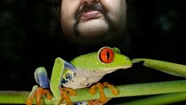 Night tours at the Biological Station in Bri Bri