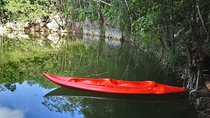 Expeditions of Cenotes in Puerto Morelos
