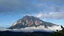 Full Day Kinabalu Park 