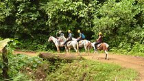 Horseback Riding Jaco