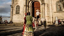 Magic Christmas Tour in Aguascalientes