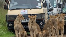 3 Days 2 Nights Masai Mara Joining Safari From Nairobi