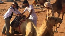 Wahiba Sands and Desert Safari from Muscat