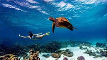 4 Days Diani Beach Holiday Package with SGR Train ( minimum 2 persons)