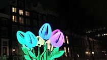 Light Festival Tour by Sebi Boat Tours