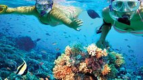 Isla Mujeres tour in a Catamaran with snorkel, open bar, lunch 