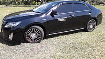 Private Arrival Transfer - Nadi Airport to Warwick Fiji Resort