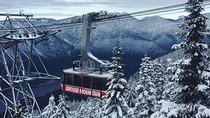 Vancouver Perfect Day Tour Grouse Mountain`& Capilano Suspention Bridge Private