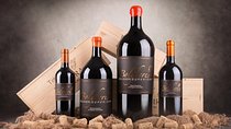 The selections - visit with Bolgheri wine tasting
