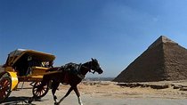 Tour Giza Pyramids Sphinx Memphis and Saqqara and Camel