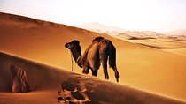 Best 6 days Cairo Luxor, Alexandria ,Egyptian Sahara