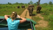 Day tour to Udawalawe from Colombo