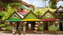  Bob Marley Nine Mile and Dunn's River Falls Tour From Montego Bay 