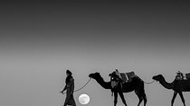 Shared 3 days tour From Marrakesh to Fes via Merzouga desert