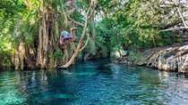 MATERUNI waterfalls, coffe tour & kikuletwa hotsprings