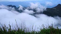 The backpackers trail to Elephant Spine – Knuckles