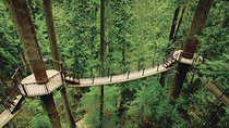 Best of Vancouver Highlights /Suspension Bridge/ Free Pizza Party Tour Private