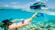 Snorkeling Trip from Muscat