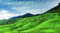 3 Days Tour to Kandy Nuwara Eliya & Sigiriya from Colombo