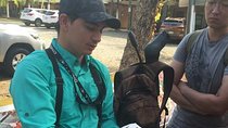 Birdwatching Tour Manuel Antonio /Esquipulas Group Tour Experience