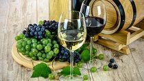 Tasting at Valle de Uco, Mendoza, Wineries with Private Sedan