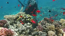 diving trip to tiran island