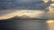 Private driver Naples Italy Full day 8 hours